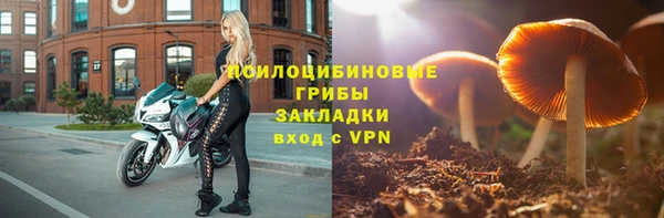 прущие грибы Медвежьегорск