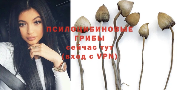 кокс Мегион