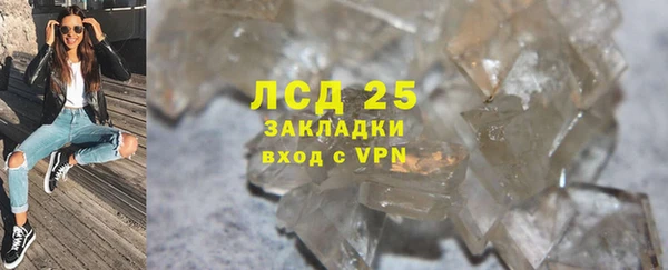 прущие грибы Медвежьегорск