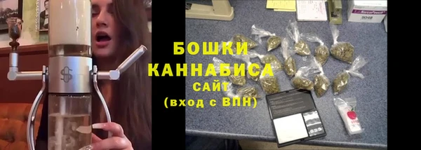 гидропоника Медногорск