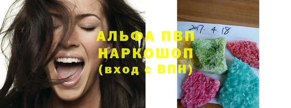 прущие грибы Медвежьегорск
