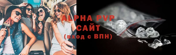 прущие грибы Медвежьегорск