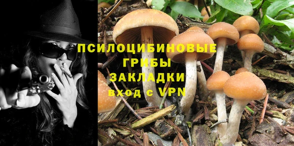 кокс Мегион
