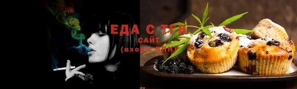гидропоника Медногорск