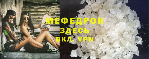 прущие грибы Медвежьегорск