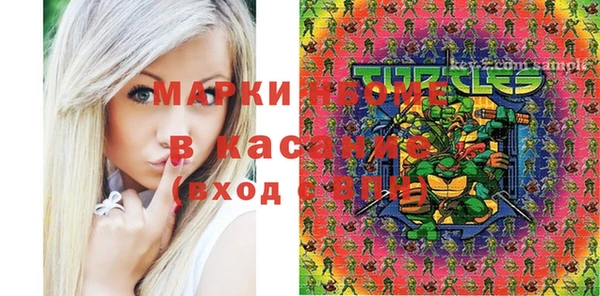 прущие грибы Медвежьегорск