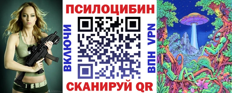 Купить закладки  Мытищи  Псилоцибиновые грибы GOLDEN TEACHER 